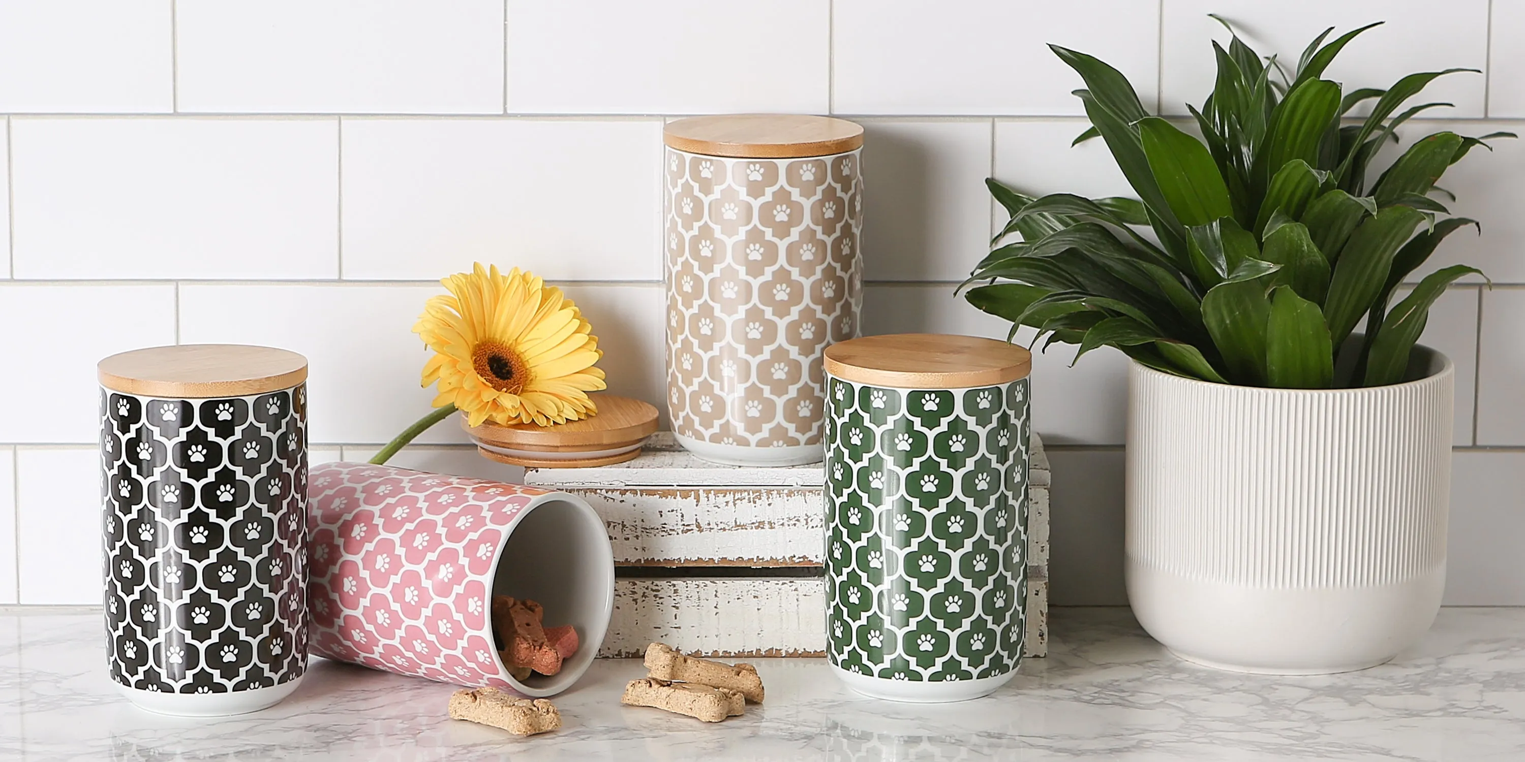 Rose Lattice Paw Print Pet Treat Canister - 4.5 Cup Capacity