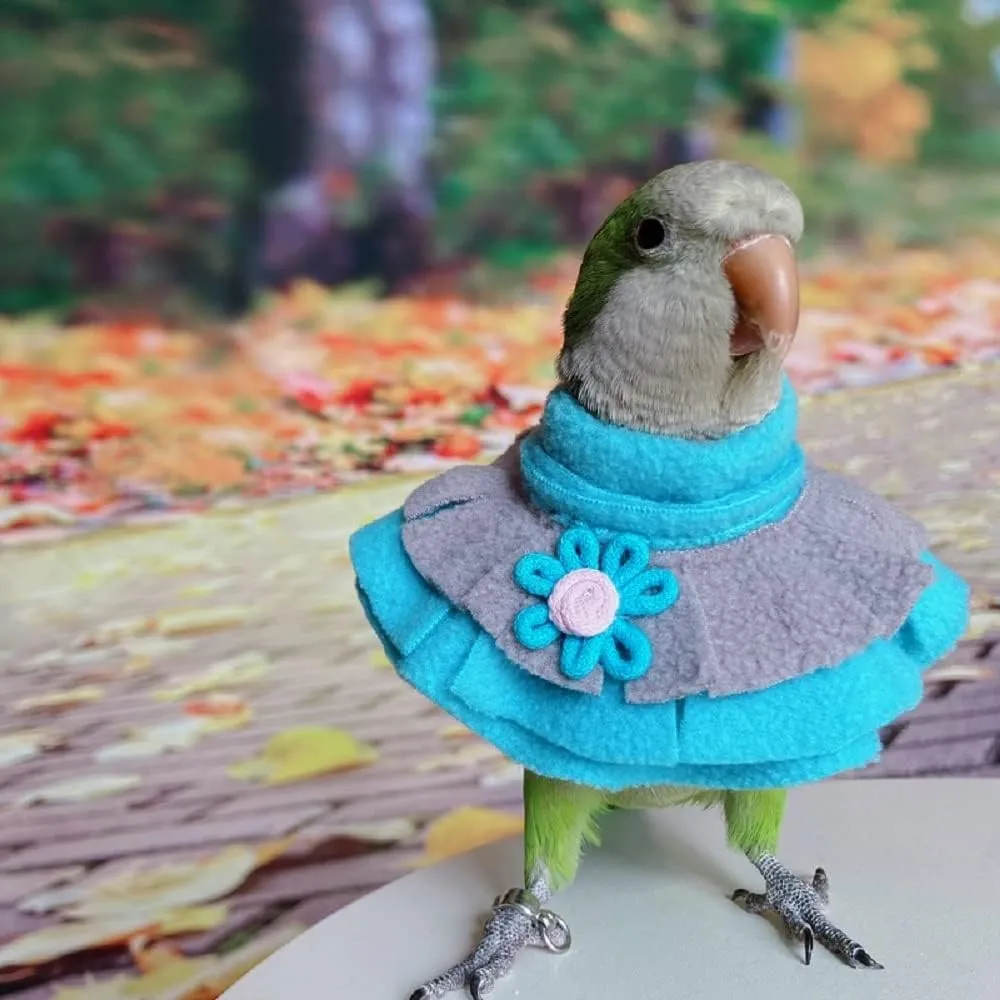 RRRIOT Parrot Neck Collar Pet Anti-bite Picking Feather Healing Protective Neck Cover Collar for Birds (4XL)