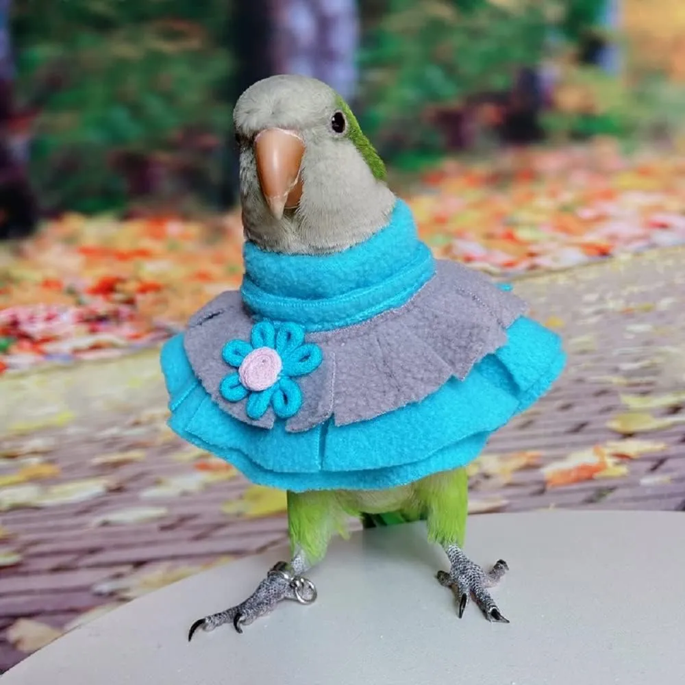 RRRIOT Parrot Neck Collar Pet Anti-bite Picking Feather Healing Protective Neck Cover Collar for Birds (4XL)