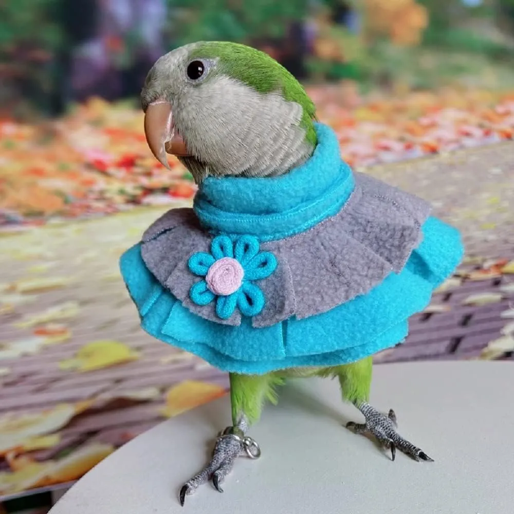 RRRIOT Parrot Neck Collar Pet Anti-bite Picking Feather Healing Protective Neck Cover Collar for Birds (4XL)