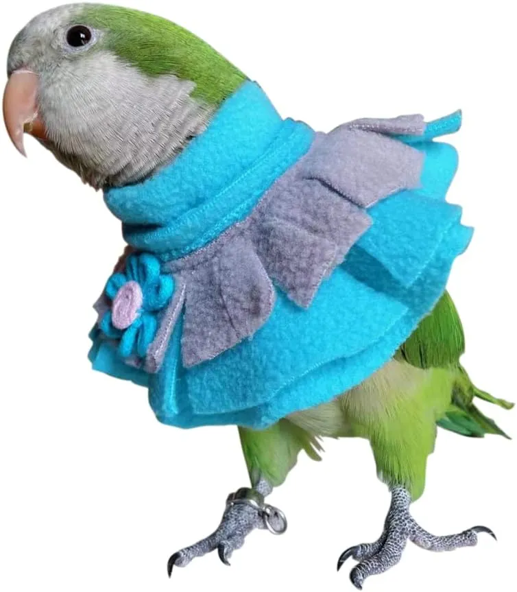 RRRIOT Parrot Neck Collar Pet Anti-bite Picking Feather Healing Protective Neck Cover Collar for Birds (4XL)