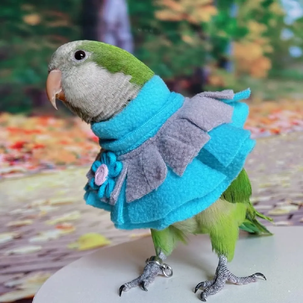 RRRIOT Parrot Neck Collar Pet Anti-bite Picking Feather Healing Protective Neck Cover Collar for Birds (4XL)
