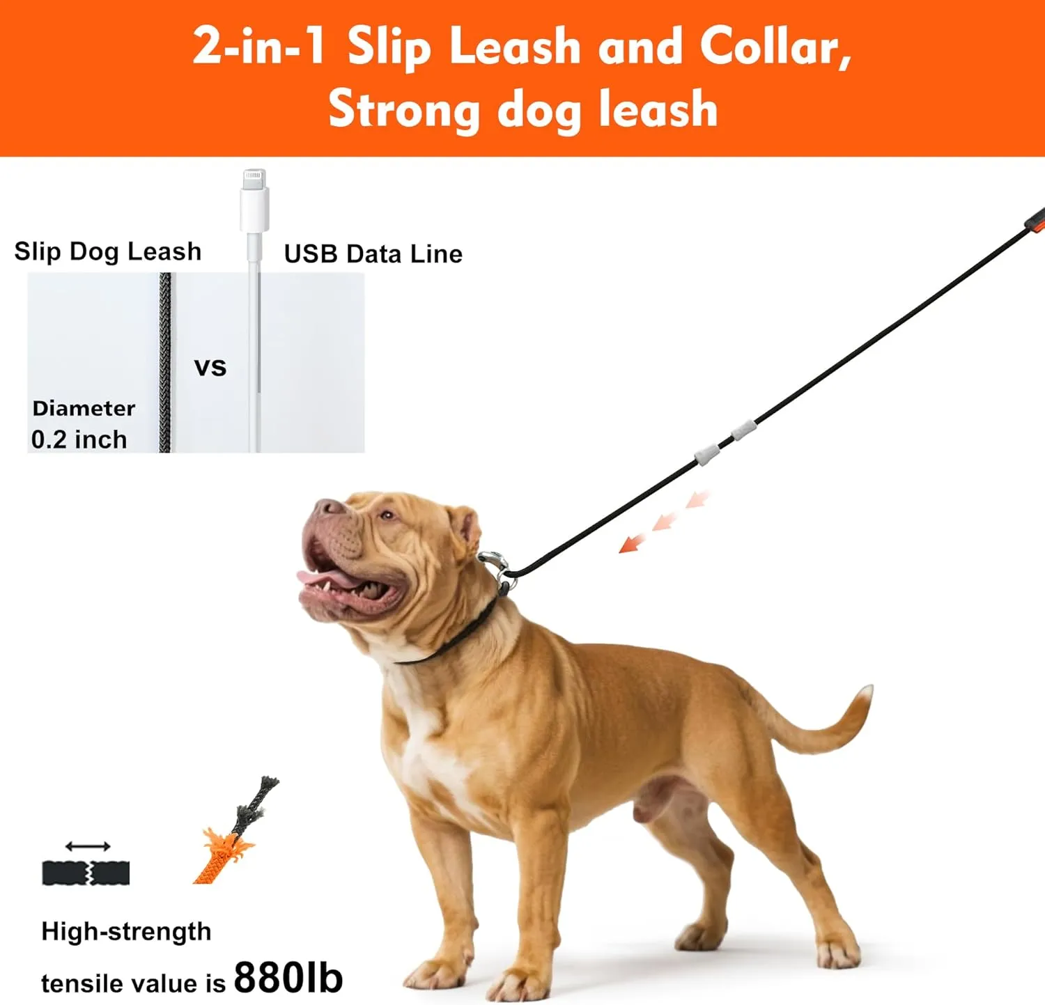 Slip Leads for Dogs,Top Speed Training Dog Leash,2-in-1 Slip Collar Dog Training Lead & Collar,6ft Thin Slip Lead,Small Medium or Large Dogs(Blue1.8M Long)