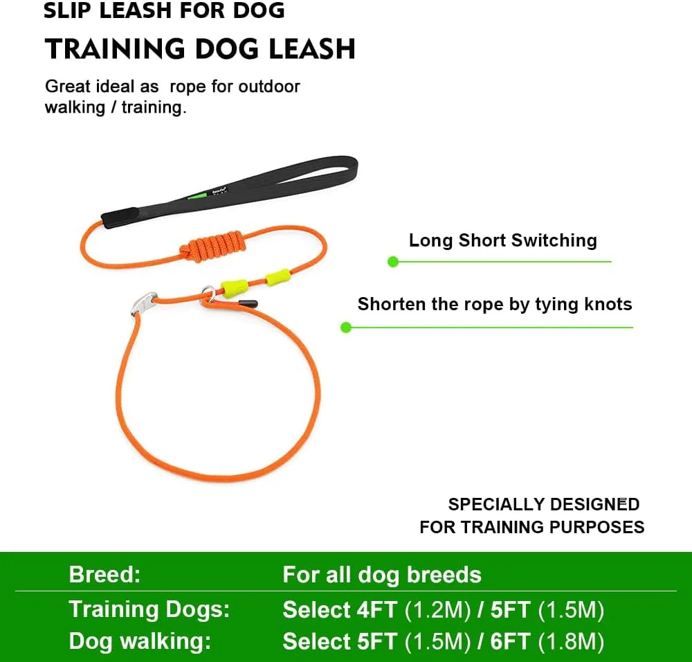 Slip Leads for Dogs,Top Speed Training Dog Leash,2-in-1 Slip Collar Dog Training Lead & Collar,6ft Thin Slip Lead,Small Medium or Large Dogs(Blue1.8M Long)