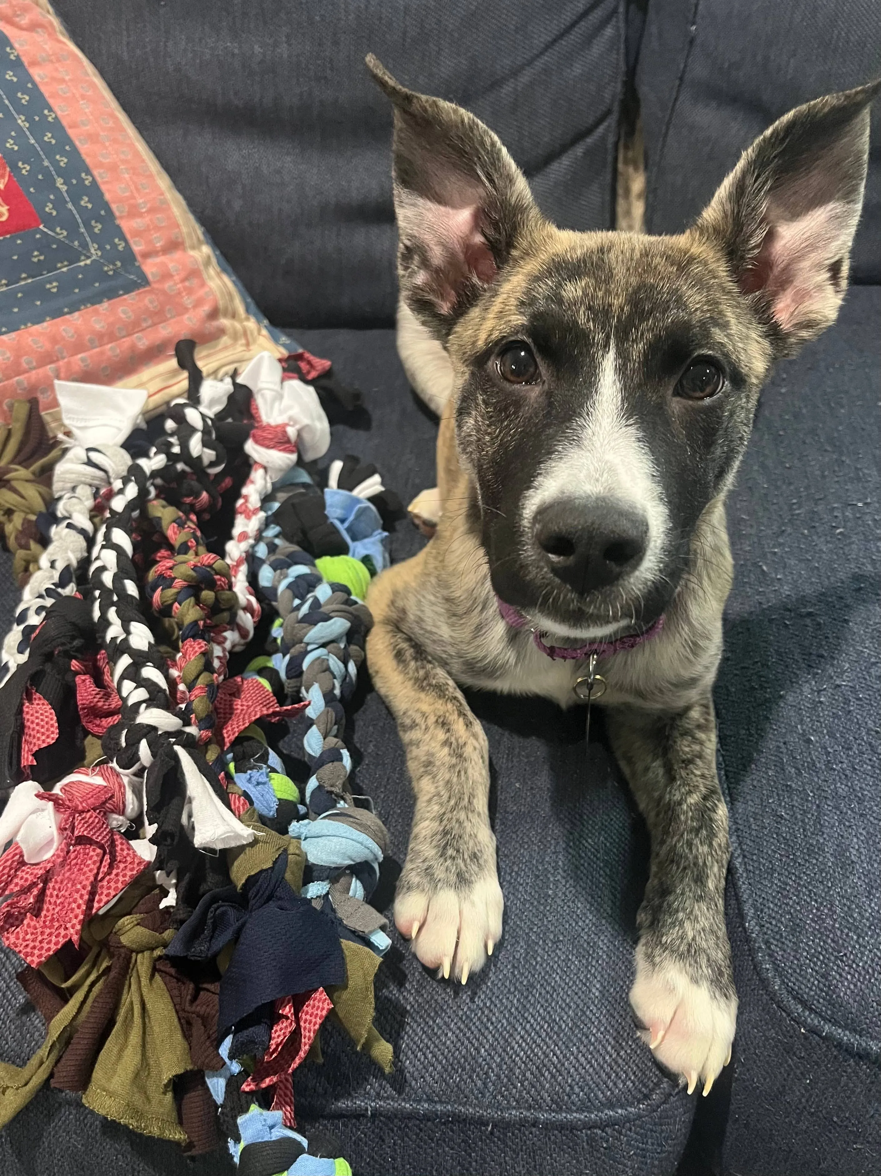 Upcycled Dog Toys: Large