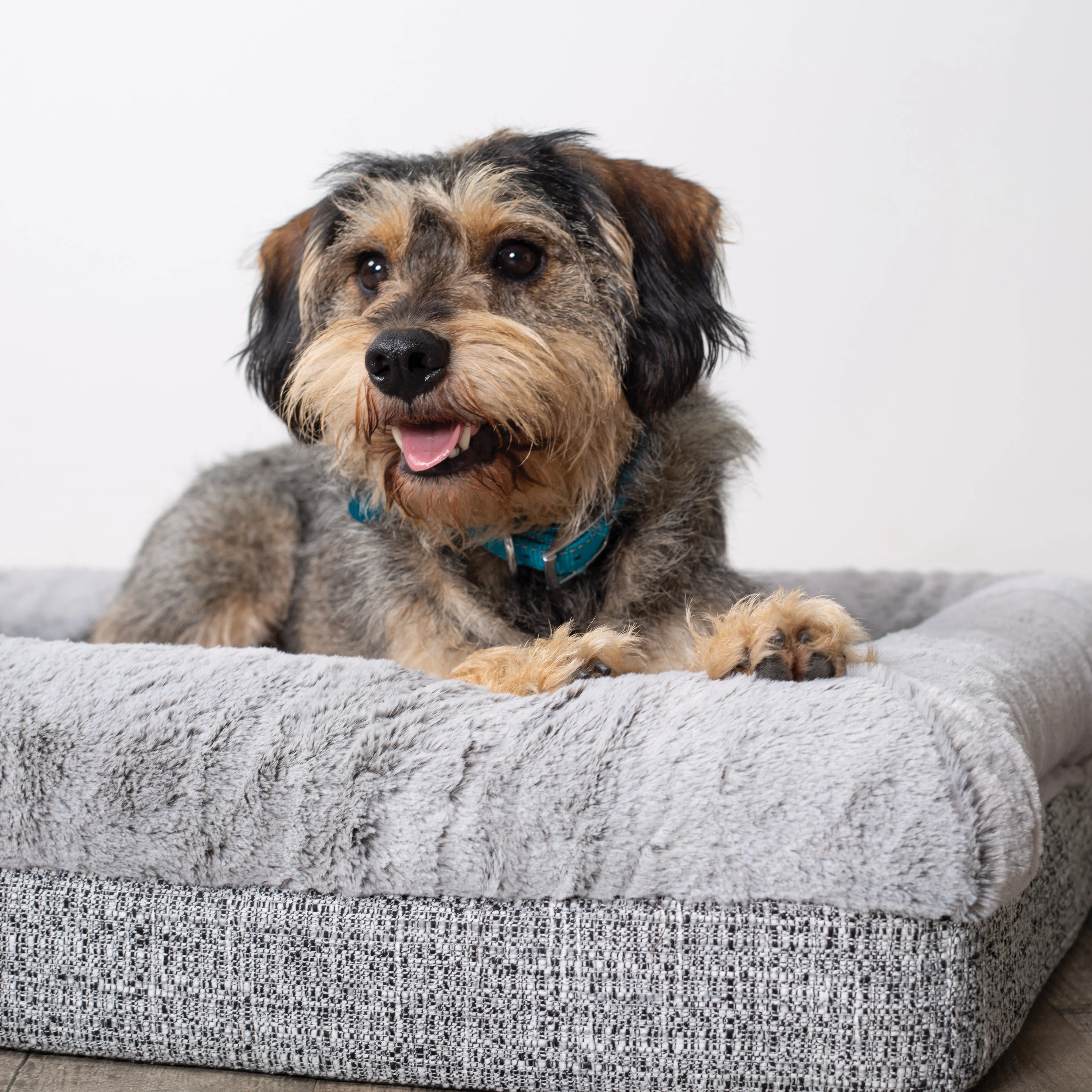 Wombat Plush Dog Bed