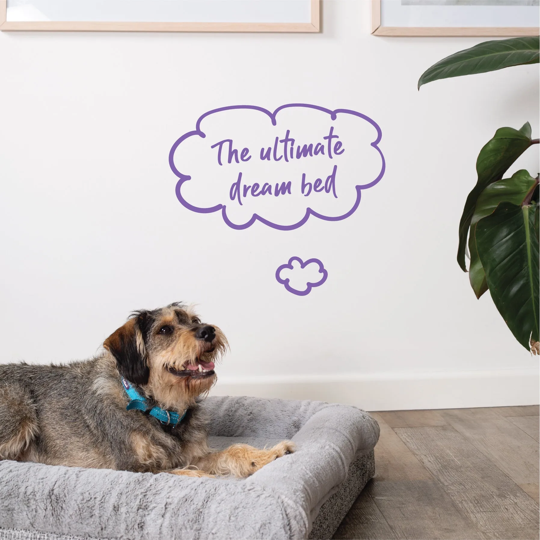 Wombat Plush Dog Bed